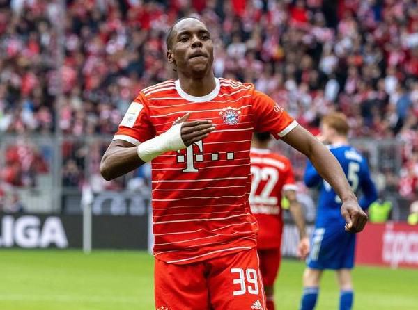 罗娜的诱惑