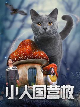 久久不卡视频