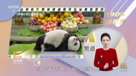 精品国产一区二区三区国产馆